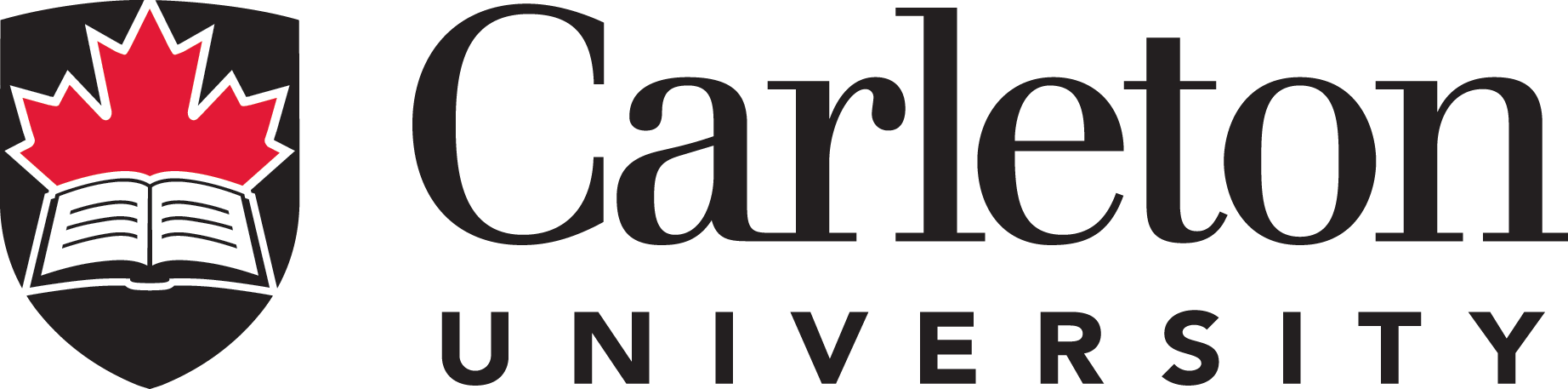 Carleton University GINS2010 — "Globalization and International Economic Issues"